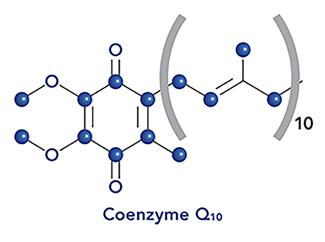 What are the Benefits of CoQ10?