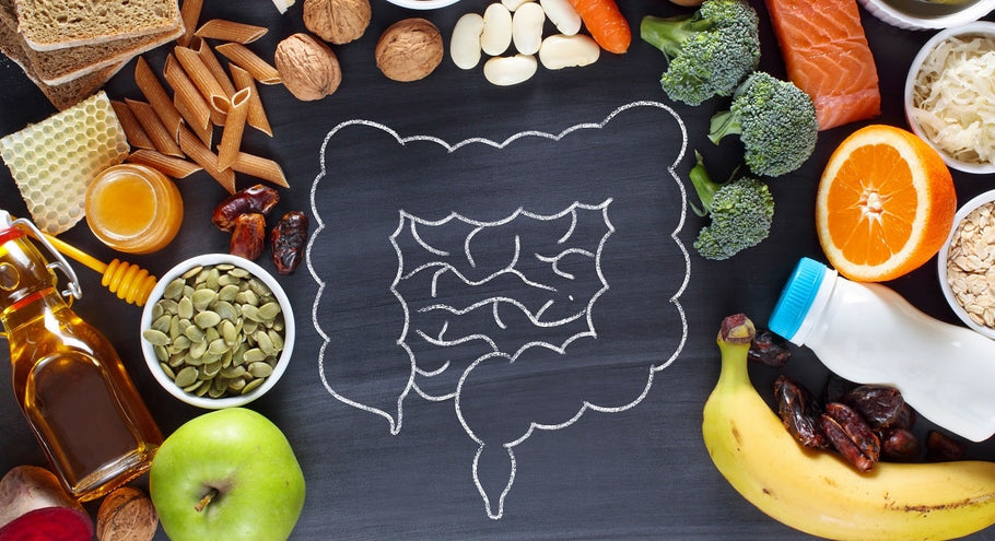 Getting Gutsy: Your GI Health and Enzymes for Digestion‡