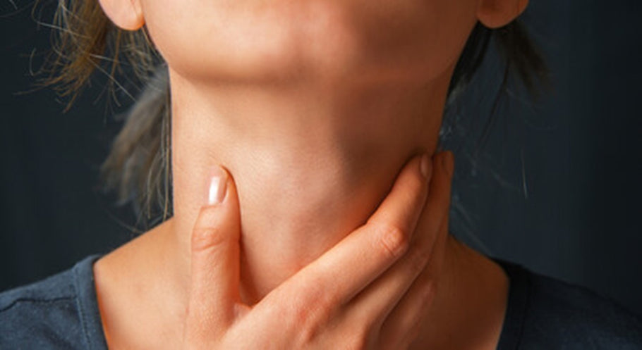 Which Foods and Supplements Encourage a Healthy Thyroid‡