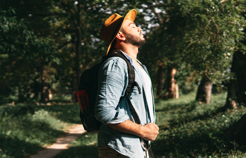 Finding Calm: Effective Supplements for Occasional Stress and Support Occasional Anxiety Relief