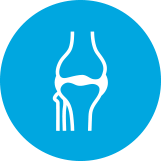Bone, Joint & Muscle Support