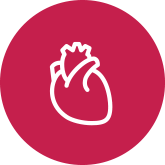 Heart & Metabolism