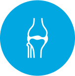 Bones & Musculoskeletal Health