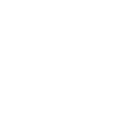 Connectivity To Community