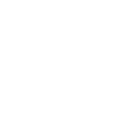 New Program Updates