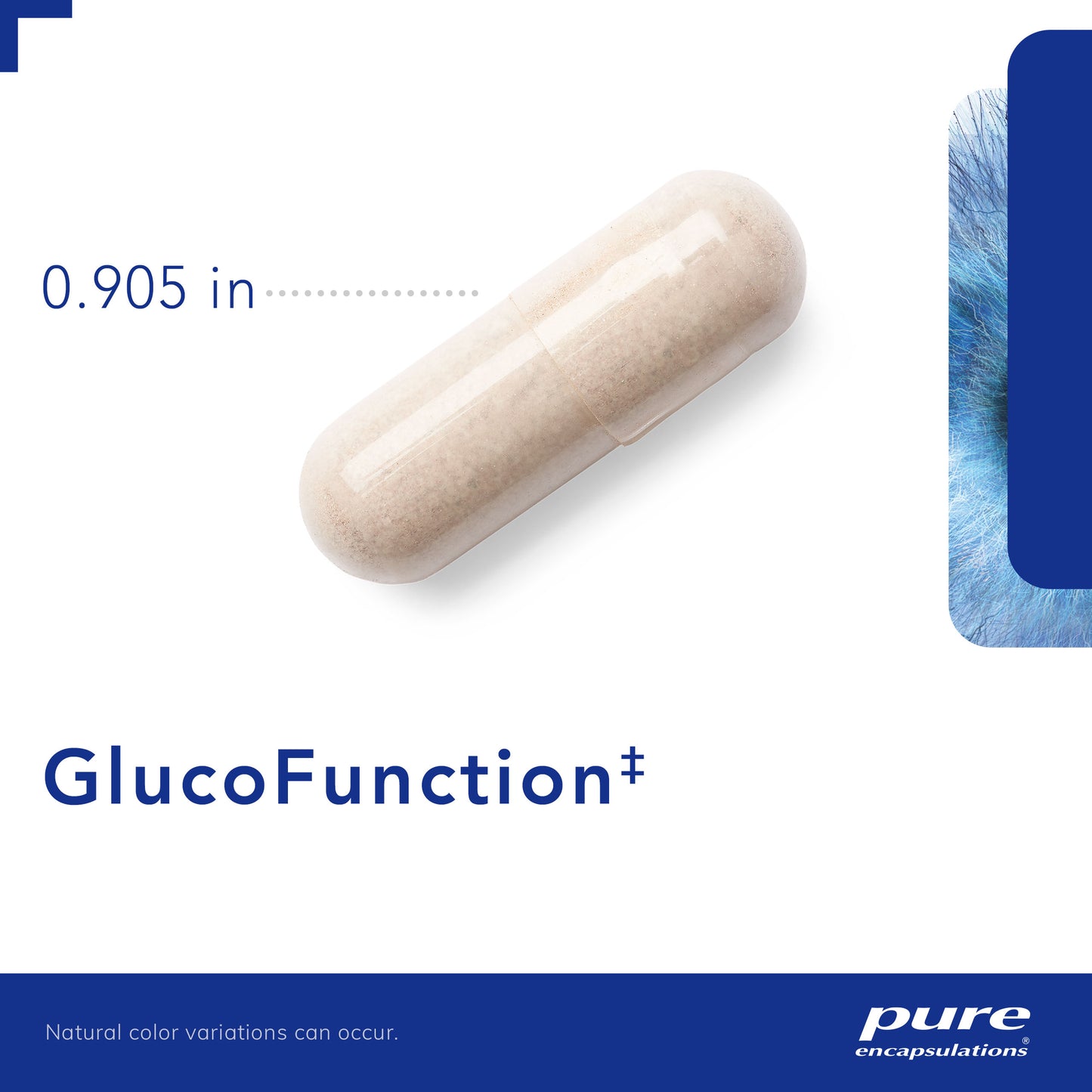 GlucoFunction‡